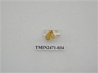 藏品(鉤弧紋豔苔蛾)的圖片